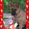 maricel53067